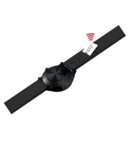 MONDAINE PAYCHIP